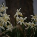 베드로목장2 이미지