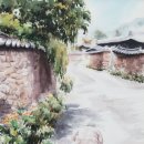 소채