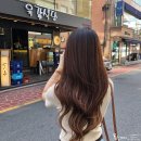 도담붙임머리 네이버블로그
