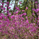 내리초등학교 이미지