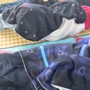 원우 없는 원우팀 응원하기