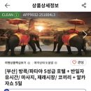 (주)제주파랑새관광여행사 | [참좋은여행사]패키지여행1 : 여행사 비교/선택 후기✈️⛵️