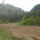 전원오토캠핑장 이미지