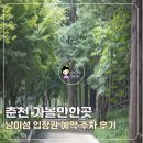 신흥로 은행나무테마거리 | 춘천 가볼만한곳 남이섬 배시간 입장권 예약 남이섬 주차 후기