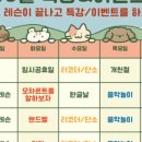 피앤플음악학원 이미지