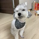 지영공방