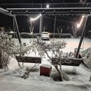 오쿨리펜션 | 가평독채펜션 눈 내리는 날 더 예쁜 가평오쿨리펜션 온수풀 불멍 개별바베큐 후기