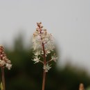 덕산산업 이미지