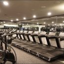 트루그릿 피트니스 이미지