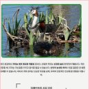 치아살리기 드림365치과의원 이미지