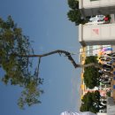 면천초등학교 이미지