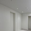 디자인솔트 네이버블로그
