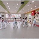 용인대꿈나무태권도장 이미지