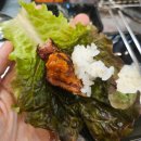 일일고기 이미지