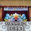 청주성신학교 | 청주 명랑운동회 후기 - 청주성신학교에서 즐겁게 뛰어놀았습니다 버블쇼도 했어요~