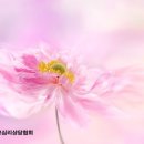 사단법인 한국아동미술협회 이미지