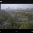 네이버 날씨 CCTV 이미지