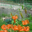 옥주농장 이미지