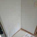 원칠원길 이미지