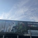 서울대공원 | 서울대공원 방문 후기 🐯🙊🐰🐻🐴🐘🦫🐈🐑🦒🦁🐢🐇🦍🦘🐓🐅🦗🐛🦔🐍🦏🦥🦛🦓🦡🦨🫎