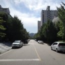 분당-292 네이버블로그