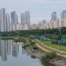 송도 달빛공원 이미지