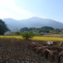 이쁜이네민박 이미지