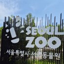 판슈탈 | 두돌아기랑 서울대공원 동물원 주말오픈런 후기 + 준비물, 주차꿀팁🐆