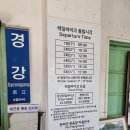 바이크애견 이미지