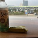 그때소리지른사람은접니다 이미지