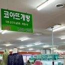 코아뜨개방