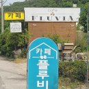 카페플루비아 이미지