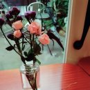 허밍포레스트