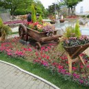 한마음광장 이미지