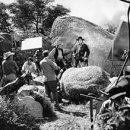 서부로(3-357) 이미지