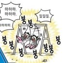 코코코 Daum카페
