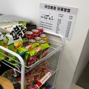 소월스테이 | 경주 독채 풀빌라 소월스테이 A동 솔직후기 | 신규오픈 감성펜션 가족여행 추천