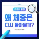 송도센트럴이비인후과의원 | 왜 체중은 다시 돌아올까? 송도 비만클리닉 후기로 보는 요요의 원인
