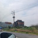 말리짬뽕