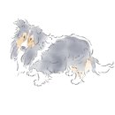 (주)뽀모