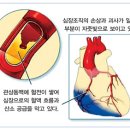 네츄럴 바디 휘트니스 이미지