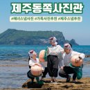 하늘5(동쪽) | 제주해녀사진관 대만족했던 제주동쪽사진관 해녀스냅 후기