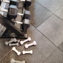 신사역헬스장 젠틀짐 한달 후기