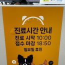 쿨펫동물병원(탄방점) 네이버블로그