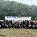 트리티
