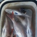 다대2동-12 이미지