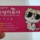 코사무이 신혼여행 후기 : 여행사 선택을 잘한 이유!!