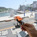 만나충무김밥 이미지