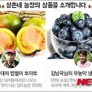 삼촌네 과일야채 이미지