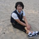 임원해수욕장 Daum카페